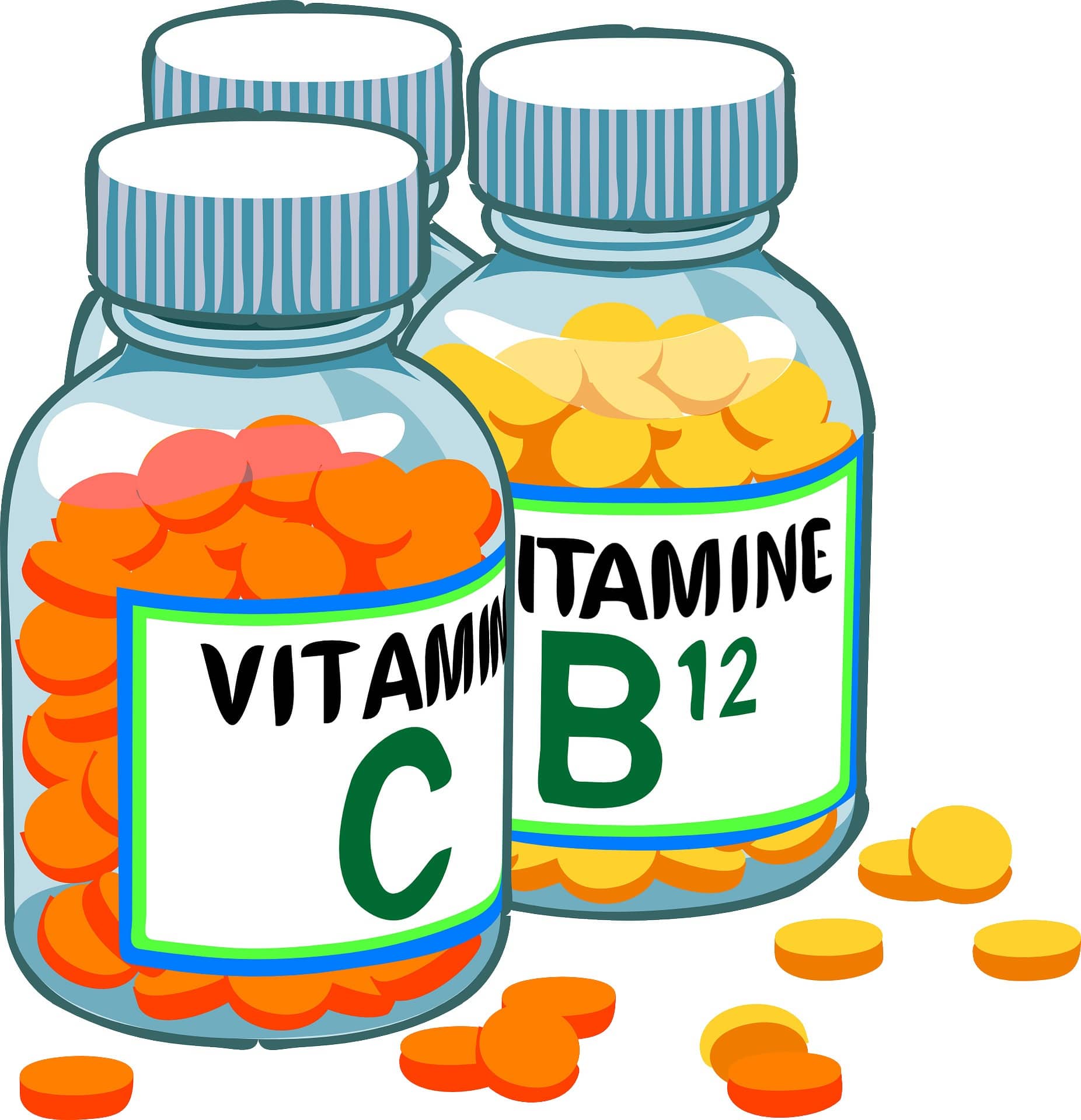 La vitamine B12 est absolument indispensable